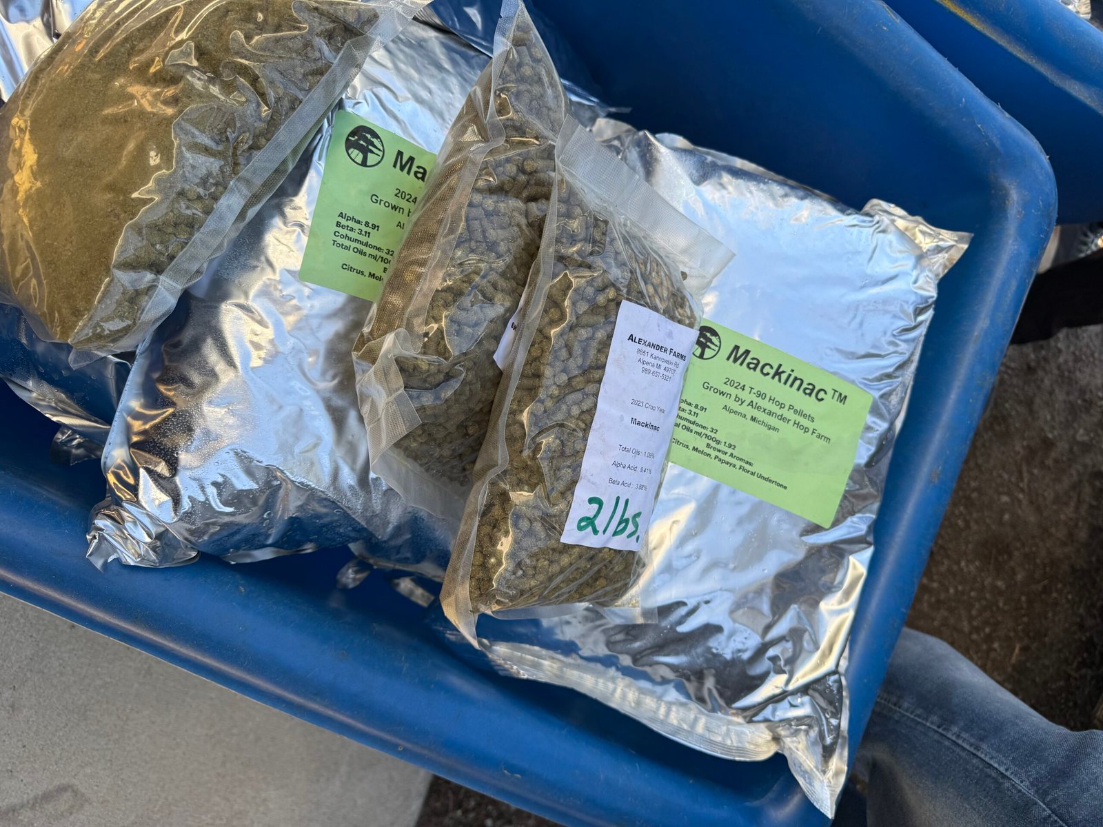 Hop pellets ready for packaging